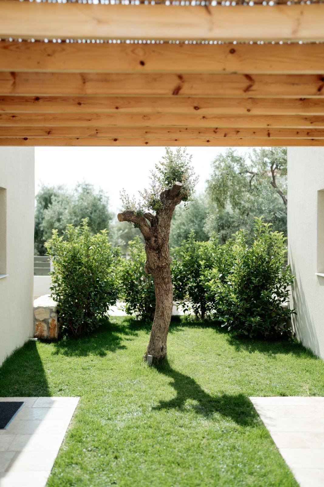 Magnolia Villas Potos Thassos Eksteriør billede
